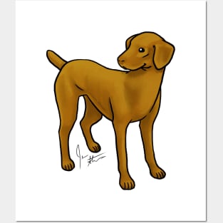 Dog - Vizsla - Smooth Coat Posters and Art